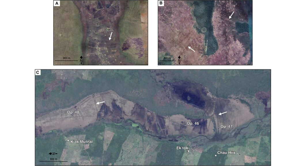 Paysages de plaines inondables saisonniers avec des dévers de poissons en terre qui ressemblent à ceux du CTWS. L'imagerie satellite comprend (A) une pêche contemporaine en Zambie, en Afrique ; (B) une ancienne pêche en Amazonie bolivienne ; et (C) l'ancienne pêche dans la lagune de l'Ouest, CTWS, Belize (toutes les images avec l'aimable autorisation de Google Earth). // Source : Etude initiale parue dans Science Advance Paysages de plaines inondables saisonniers avec des dévers de poissons en terre qui ressemblent à ceux du CTWS. L'imagerie satellite comprend (A) une pêche contemporaine en Zambie, en Afrique ; (B) une ancienne pêche en Amazonie bolivienne ; et (C) l'ancienne pêche dans la lagune de l'Ouest, CTWS, Belize (toutes les images avec l'aimable autorisation de Google Earth). // Source : Etude initiale parue dans Science Advance