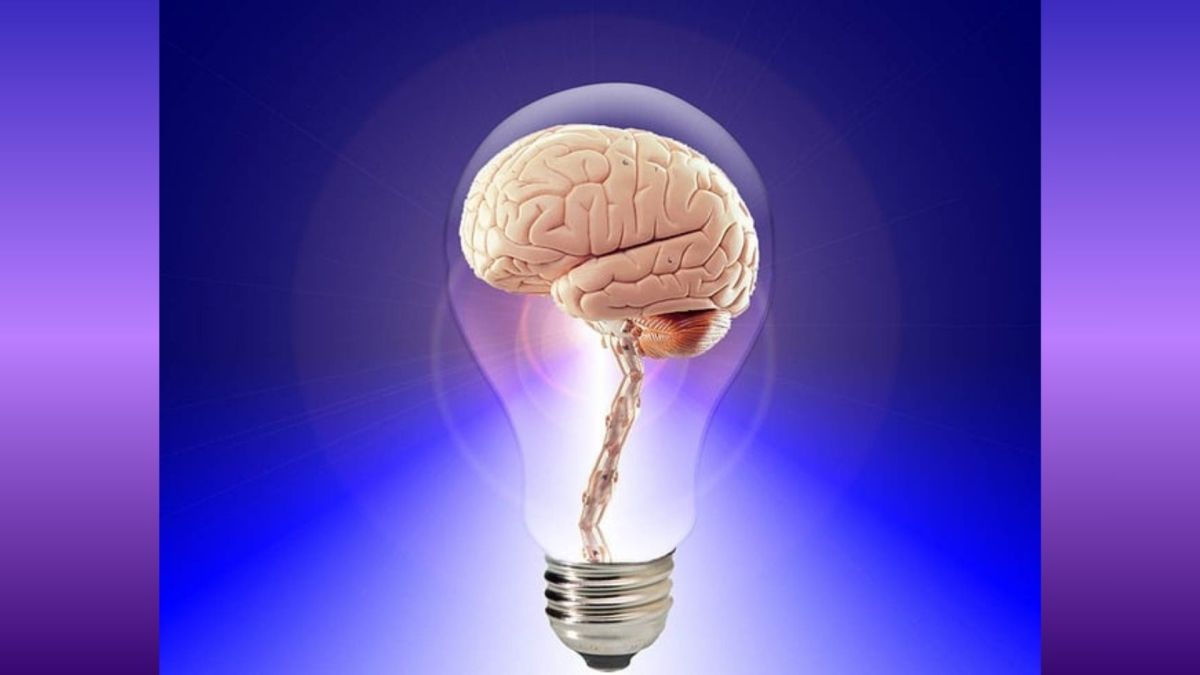cerveau, idée lumineuse // Source : PublicDomainPictures/Pixabay cerveau, idée lumineuse // Source : PublicDomainPictures/Pixabay
