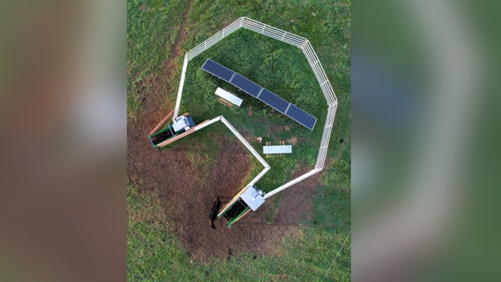 Vue aérienne des machines qui distribuent le complément d'algues et mesurent les émissions de méthane du bétail au pâturage. // Source : Paulo de Méo Filho / UC Davis Vue aérienne des machines qui distribuent le complément d'algues et mesurent les émissions de méthane du bétail au pâturage. // Source : Paulo de Méo Filho / UC Davis
