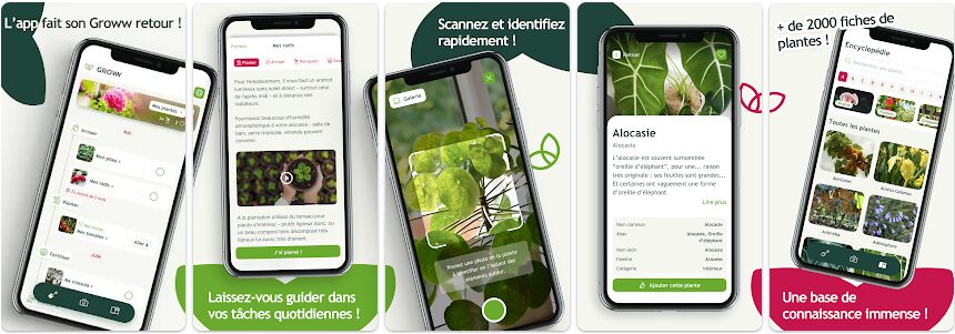 Groww // Source : Willemse France Groww // Source : Willemse France