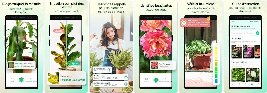 Plant Parent - Guide entretien // Source : Glority Global Group Ltd. Plant Parent - Guide entretien // Source : Glority Global Group Ltd.