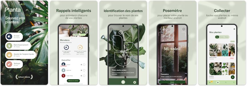 Planta - Aimez vos plantes // Source : Planta AB Planta - Aimez vos plantes // Source : Planta AB