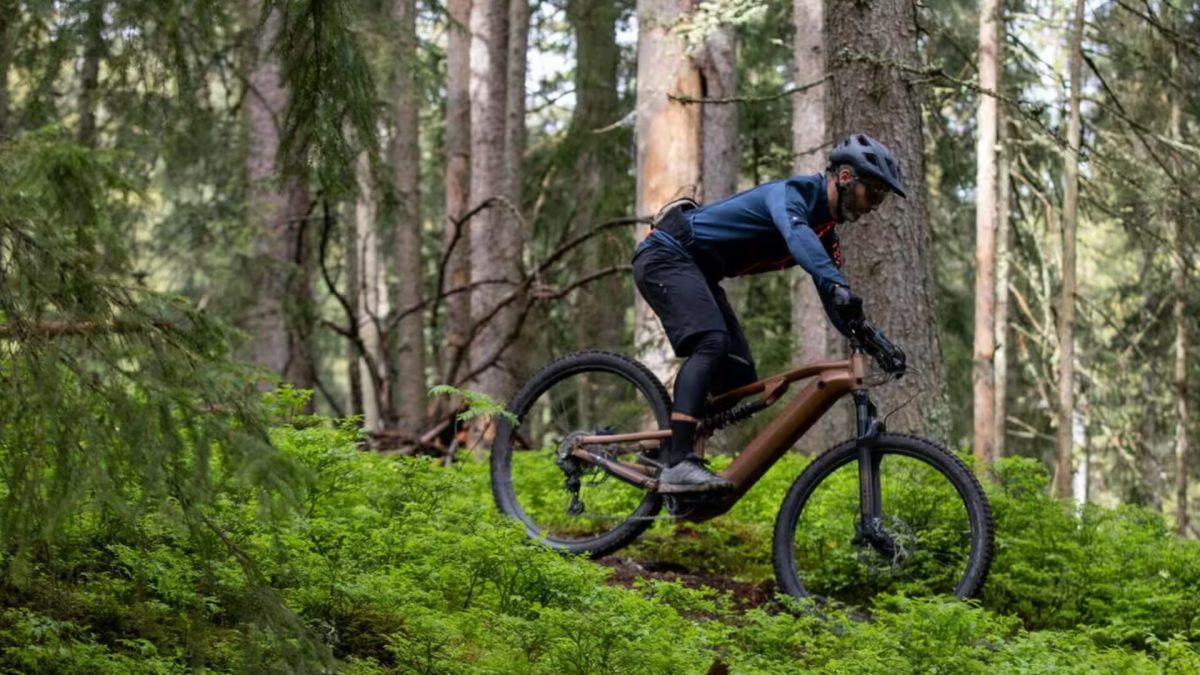 Rockrider E-EXPL 700 S // Source : Décathlon Rockrider E-EXPL 700 S // Source : Décathlon