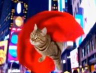 Un chat super-héros généré par Sora. // Source : Numerama, avec Sora Un chat super-héros généré par Sora. // Source : Numerama, avec Sora
