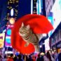 Un chat super-héros généré par Sora. // Source : Numerama, avec Sora Un chat super-héros généré par Sora. // Source : Numerama, avec Sora