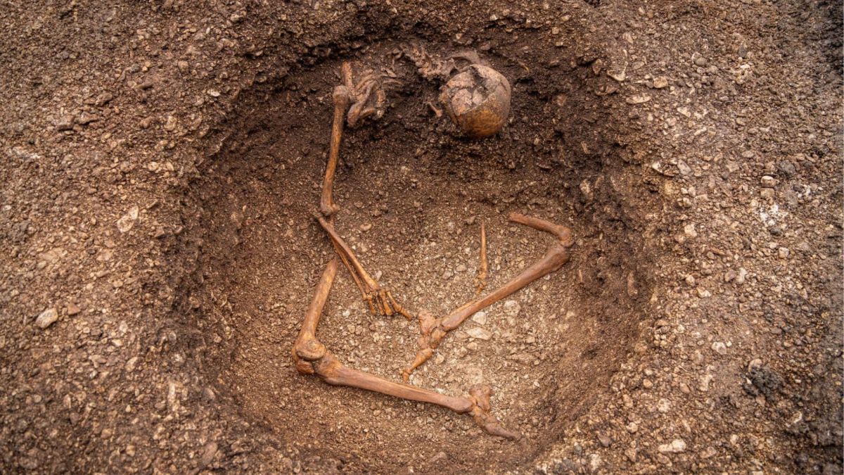 Inhumation d’un individu assis, détail de l’affaissement du haut du corps. // Source : Christophe Fouquin, Inrap Inhumation d’un individu assis, détail de l’affaissement du haut du corps. // Source : Christophe Fouquin, Inrap