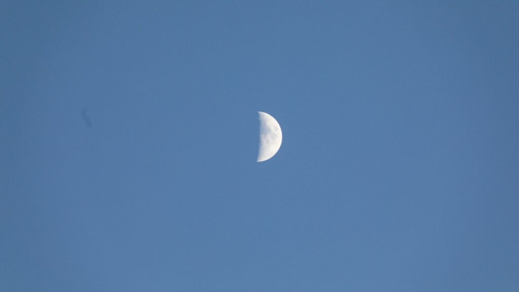 Demi-Lune. // Source : Canva Demi-Lune. // Source : Canva