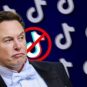 Elon Musk sauveur de TikTok ? // Source : montage Numerama Elon Musk sauveur de TikTok ? // Source : montage Numerama
