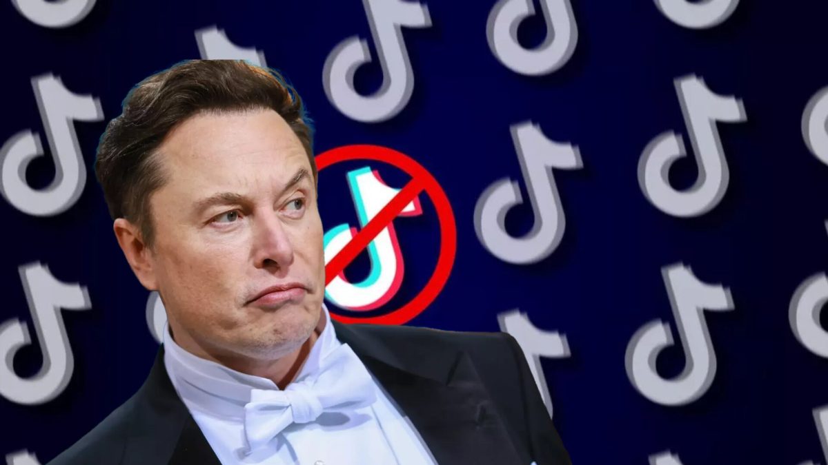 Elon Musk sauveur de TikTok ? // Source : montage Numerama Elon Musk sauveur de TikTok ? // Source : montage Numerama