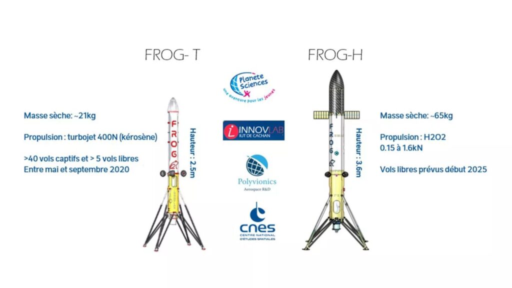 Frog-H Frog-H