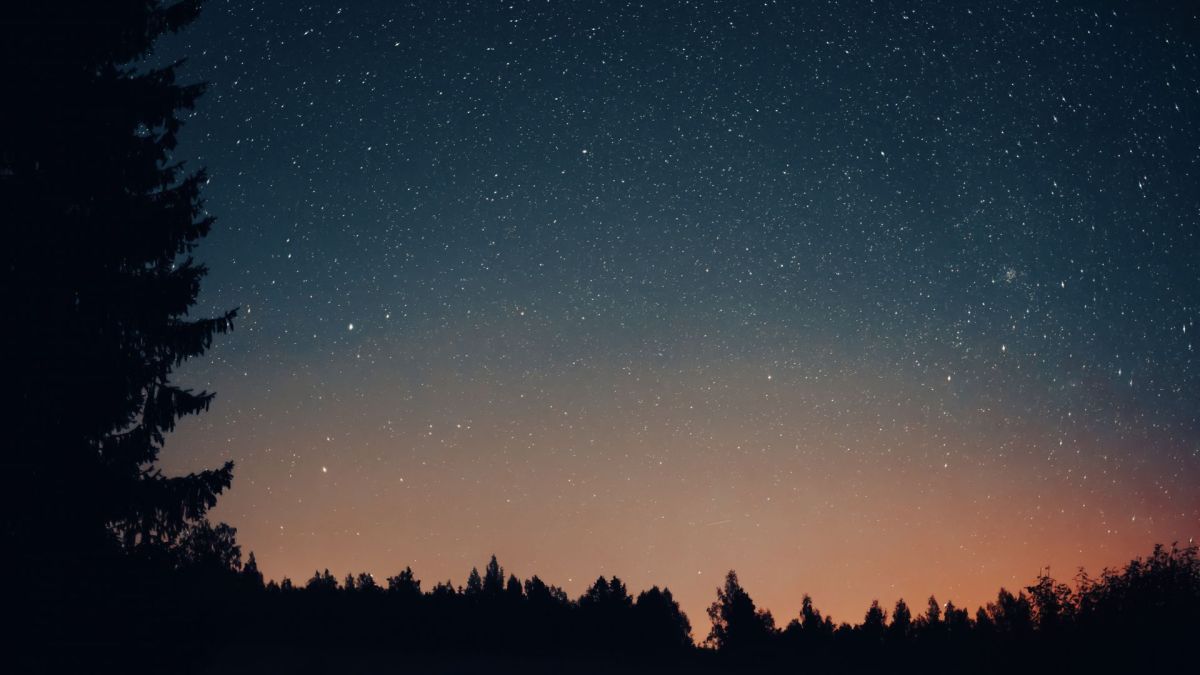 Ciel étoilé. // Source : Envato (photo recadrée) Ciel étoilé. // Source : Envato (photo recadrée)