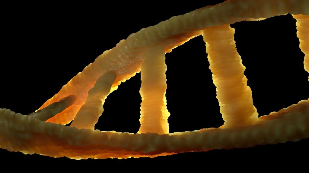 Double hélice d'ADN // Source : ColiN00B; Pixabay Double hélice d'ADN // Source : ColiN00B; Pixabay