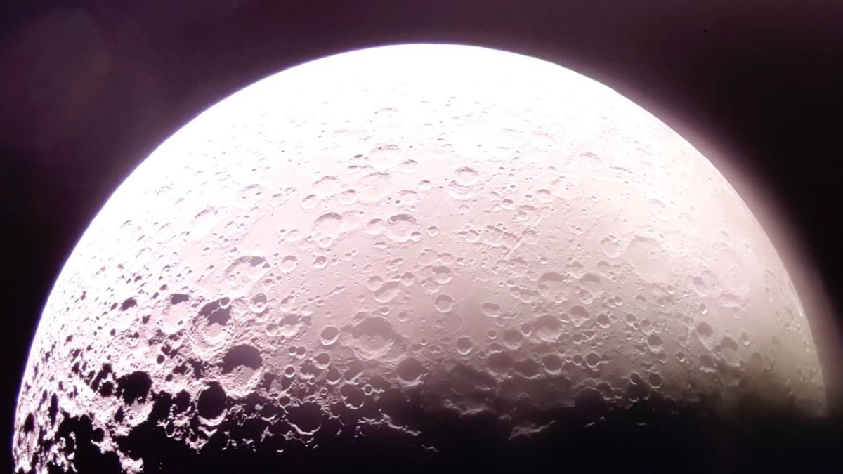 Pôle Sud de la Lune photographié par l'atterrisseur lunaire Blue Ghost // Source : Firefly Aerospace Pôle Sud de la Lune photographié par l'atterrisseur lunaire Blue Ghost // Source : Firefly Aerospace