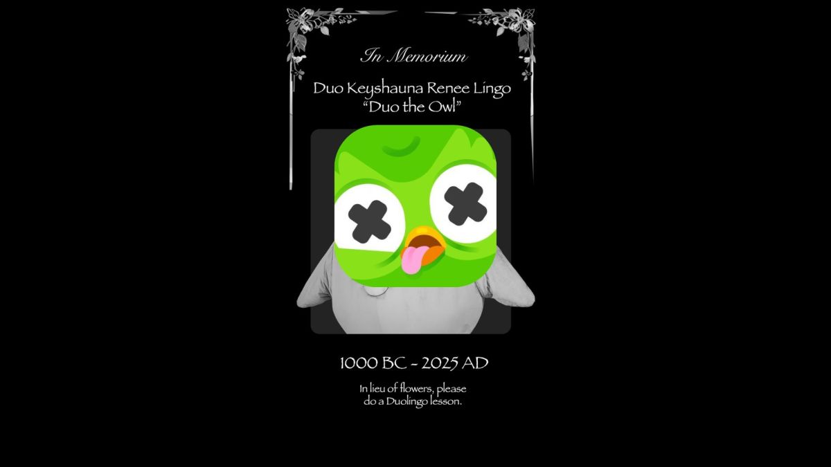 La mascotte de Duolingo s'est envolée // Source : Duolingo et montage Numerama La mascotte de Duolingo s'est envolée // Source : Duolingo et montage Numerama