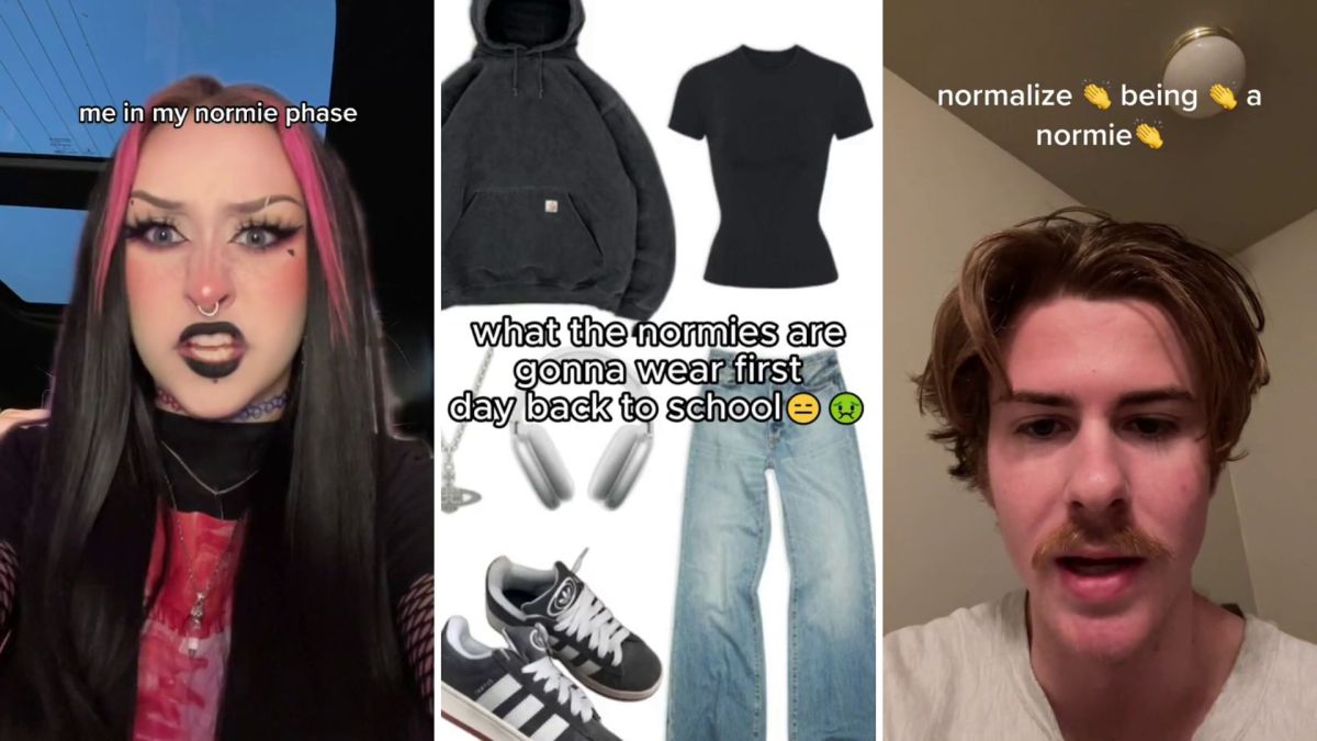 L'usage de « normie » sur TikTok // Source : Montage Numerama L'usage de « normie » sur TikTok // Source : Montage Numerama