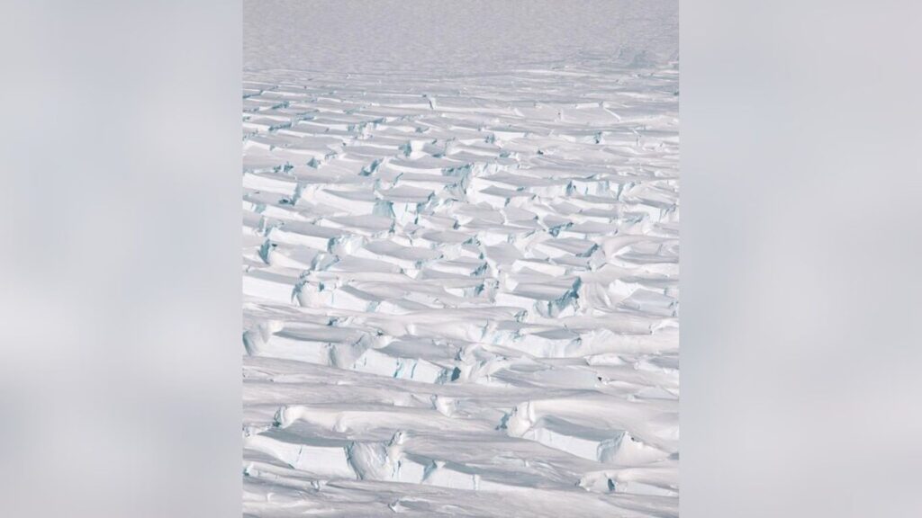 Un réseau de fissures profondes, ou crevasses, engorge le paysage glaciaire d'une zone de la plate-forme de glace de Getz en Antarctique. // Source : eremy Harbeck, NASA’s Goddard Space Flight Center/Operation IceBridge Un réseau de fissures profondes, ou crevasses, engorge le paysage glaciaire d'une zone de la plate-forme de glace de Getz en Antarctique. // Source : eremy Harbeck, NASA’s Goddard Space Flight Center/Operation IceBridge