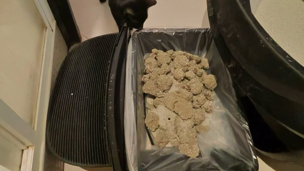 Le sac est immense. Ici : son remplissage après deux semaines. Le sac est immense. Ici : son remplissage après deux semaines.