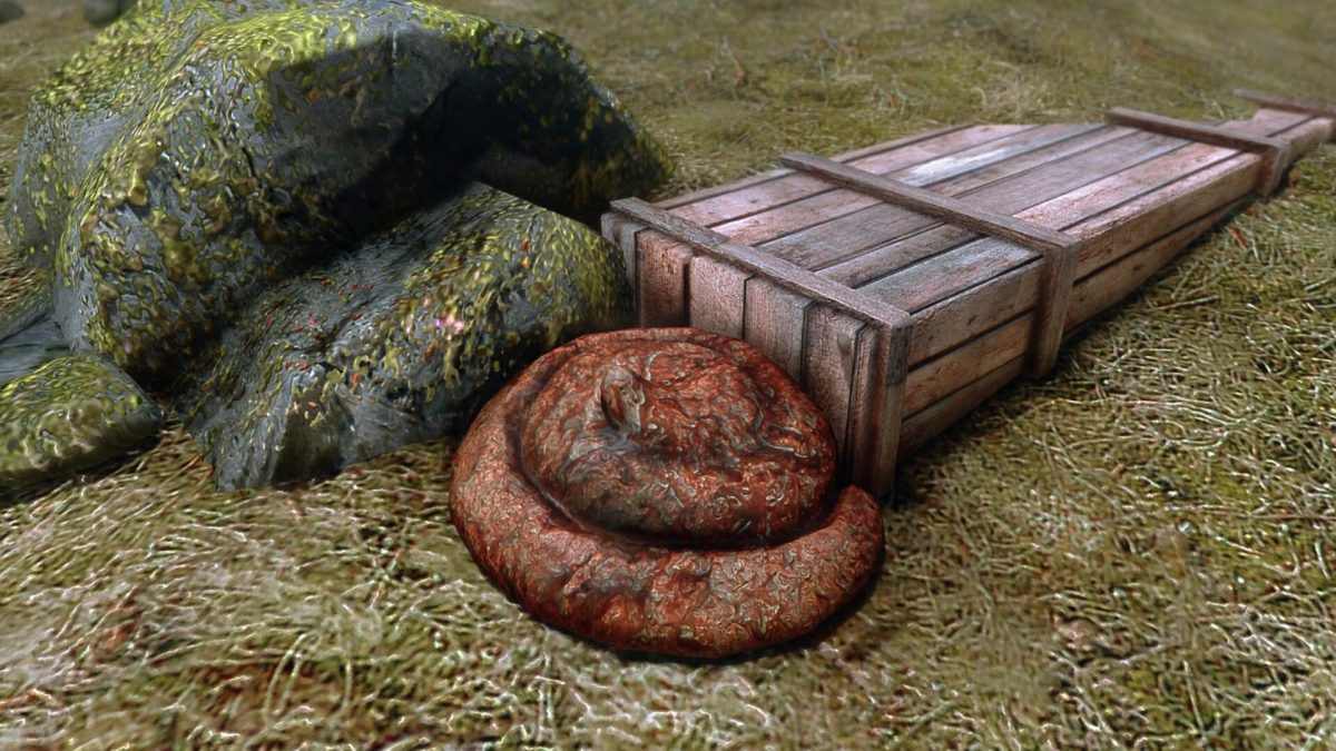 Un caca dans Skyrim // Source : Nexus Mods Un caca dans Skyrim // Source : Nexus Mods