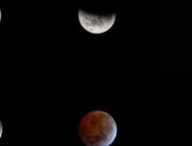 Phases de l'éclipse lunaire du 14 mars 2025. // Source : Flickr/CC/Sergio Otarola (photo recadrée) Phases de l'éclipse lunaire du 14 mars 2025. // Source : Flickr/CC/Sergio Otarola (photo recadrée)