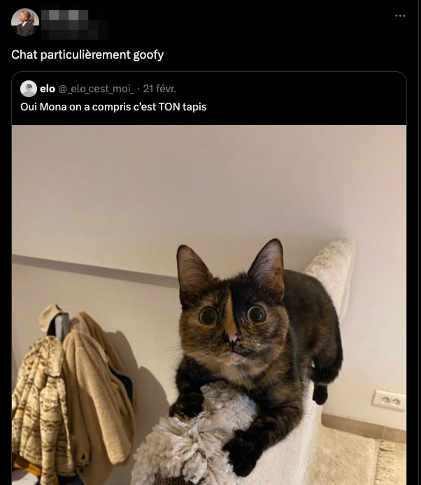 Un exemple de l'utilisation de « goofy » // Source : Numerama Un exemple de l'utilisation de « goofy » // Source : Numerama