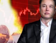 Elon Musk et le cours de bourse Tesla // Source : Création Nino Barbey