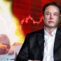 Elon Musk et le cours de bourse Tesla // Source : Création Nino Barbey Elon Musk et le cours de bourse Tesla // Source : Création Nino Barbey