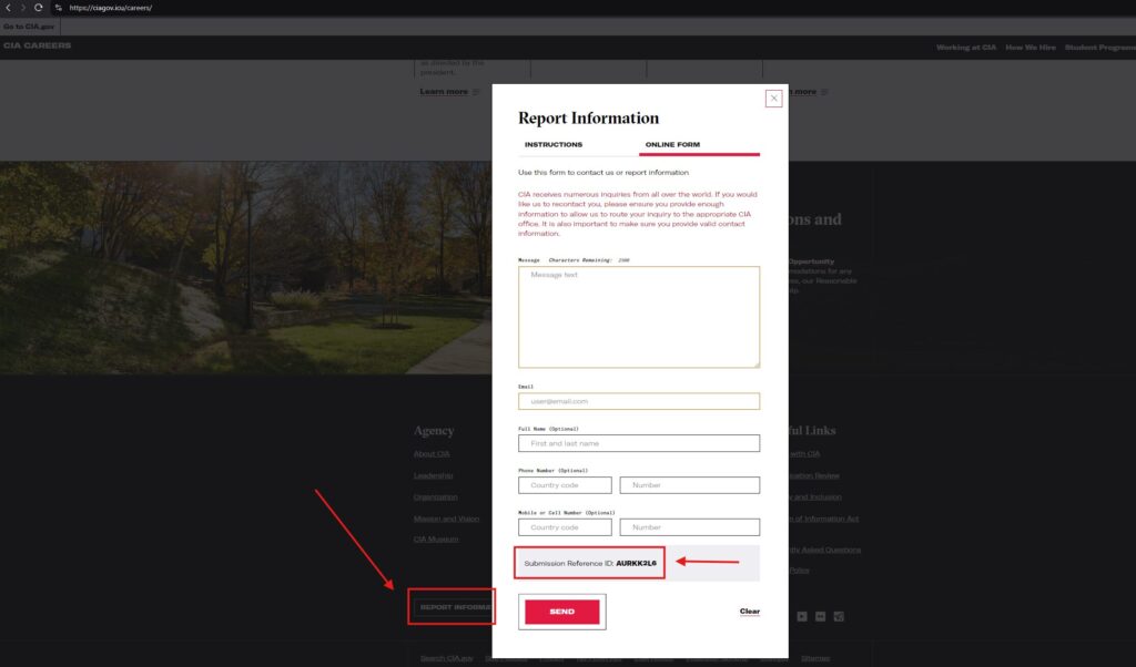 Un site usurpant la CIA invitant les Russes à donner des informations. // Source : Silent Push