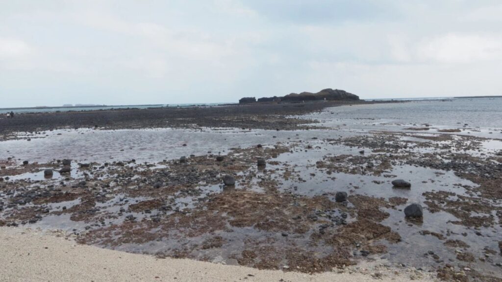 Les îles Penghu à marée basse. La mandibule de Penghu 1 a été récupérée au fond du canal de Penghu, qui était relié au continent asiatique pendant les périodes glaciaires // Source : Takumi Tsutaya Les îles Penghu à marée basse. La mandibule de Penghu 1 a été récupérée au fond du canal de Penghu, qui était relié au continent asiatique pendant les périodes glaciaires // Source : Takumi Tsutaya