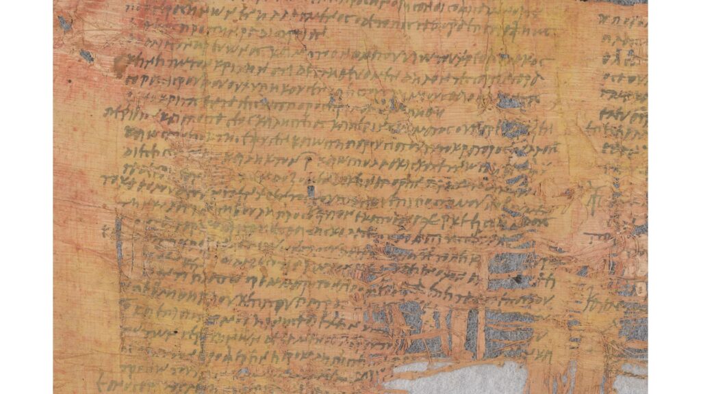 Papyrus Cotton // Source : Israel Antiquities Authority Papyrus Cotton // Source : Israel Antiquities Authority