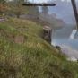 Bug dans Oblivion // Source : Capture Xbox