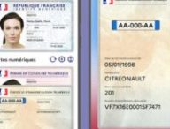 La carte grise dans France Identité. // Source : France Identité La carte grise dans France Identité. // Source : France Identité