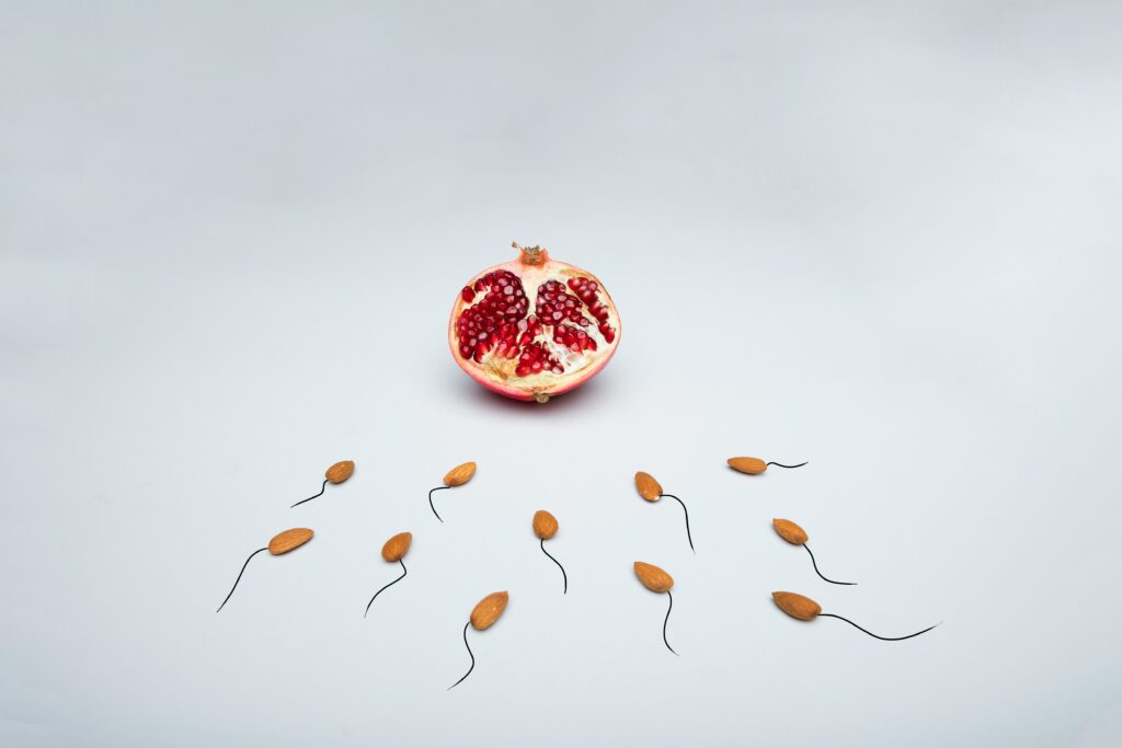 La fertilité masculine est en chute depuis 50 ans // Source : Deon Black via Unsplash La fertilité masculine est en chute depuis 50 ans // Source : Deon Black via Unsplash