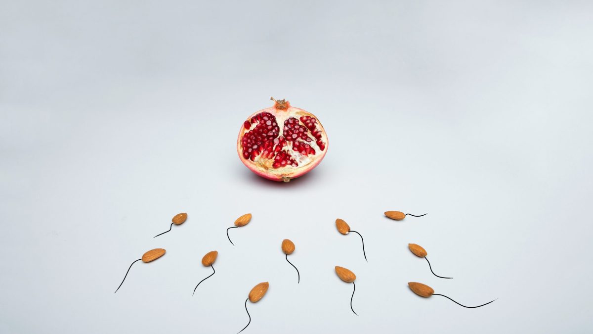 La fertilité masculine est en chute depuis 50 ans // Source : Deon Black via Unsplash