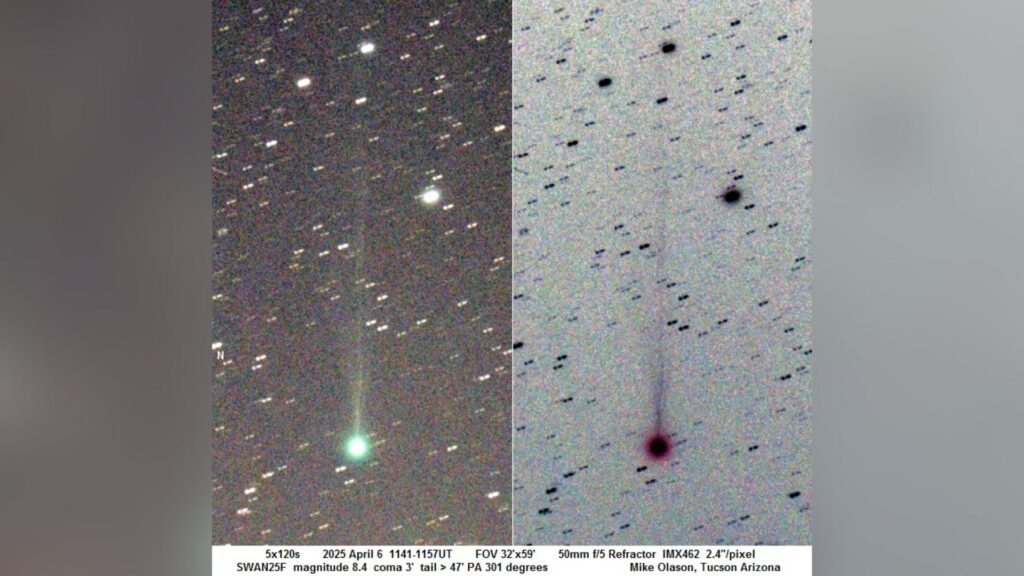 SWAN25F 6 avril 2025 11h41 UT, à Tucson en Arizona // Source : Mike Olason