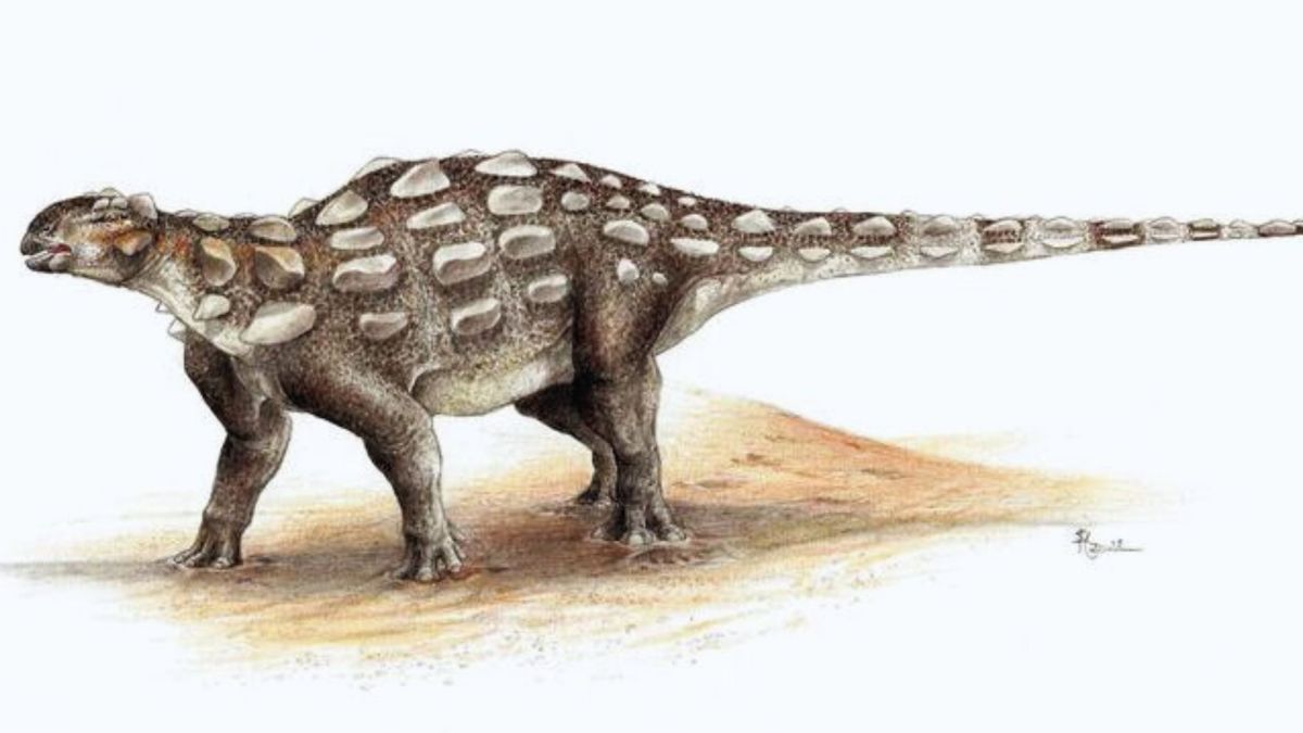 Croquis d'un dinosaure proche de la nouvelle espèce découverte. // Source : Sydney Mohr (image modifiée)