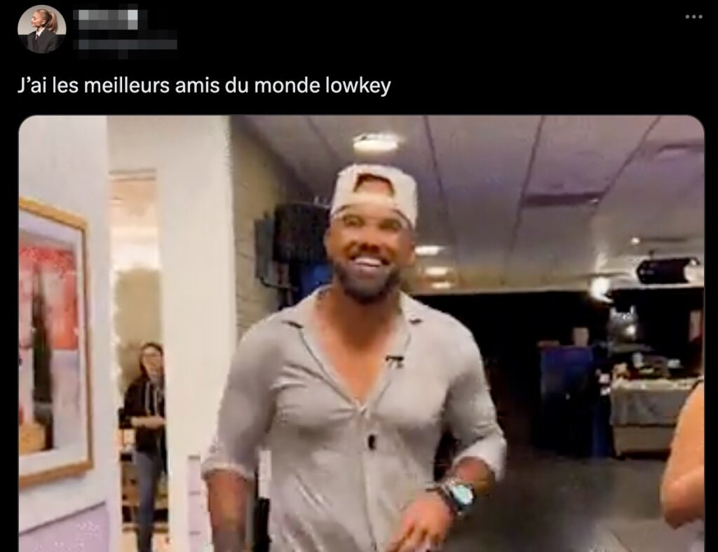 Un exemple de l'utilisation de « lowkey » sur X // Source : Capture Numerama Un exemple de l'utilisation de « lowkey » sur X // Source : Capture Numerama