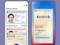 Un aperçu de la carte grise dans France Identité // Source : France Identité Un aperçu de la carte grise dans France Identité // Source : France Identité