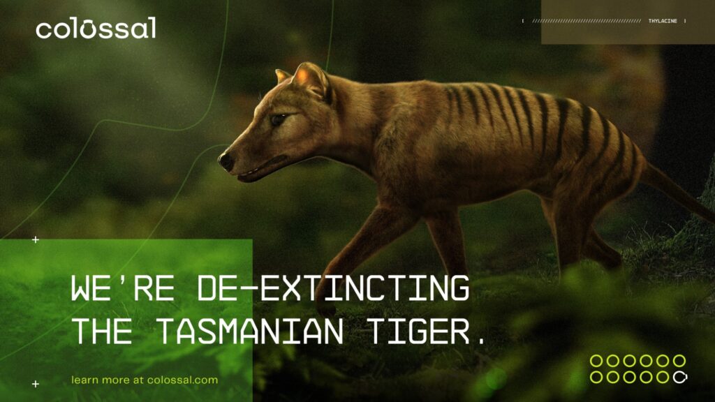 Source : Colossal Biosciences Source : Colossal Biosciences