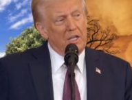 Depuis son arrivée au pouvoir, la science est tout sauf la priorité de Donald Trump. // Source : Montage Numerama Depuis son arrivée au pouvoir, la science est tout sauf la priorité de Donald Trump. // Source : Montage Numerama