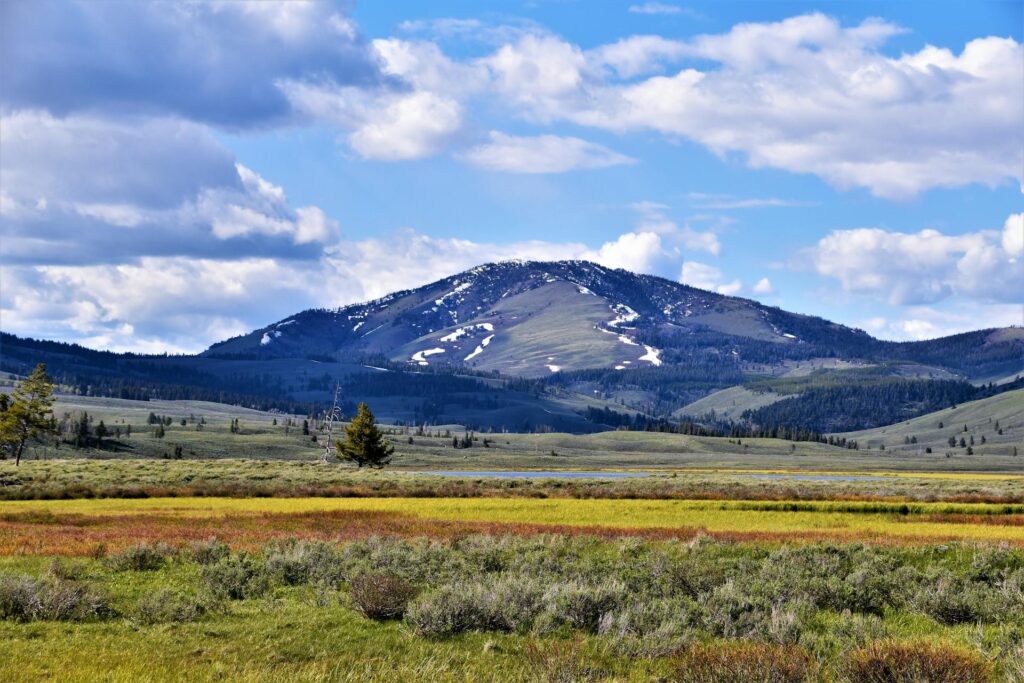 Le parc de Yellowstone, qui contient la célèbre caldeira et ses phénomènes géothermiques, s'étend sur 8 983 km2. // Source : Pexels Le parc de Yellowstone, qui contient la célèbre caldeira et ses phénomènes géothermiques, s'étend sur 8 983 km2. // Source : Pexels