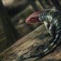 Reconstitution du reptile // Source : Marcin Ambrozik Reconstitution du reptile // Source : Marcin Ambrozik