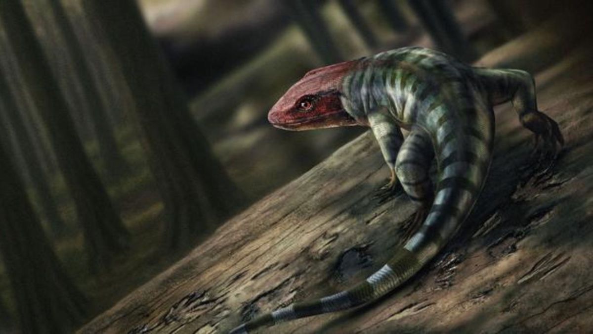 Reconstitution du reptile // Source : Marcin Ambrozik Reconstitution du reptile // Source : Marcin Ambrozik
