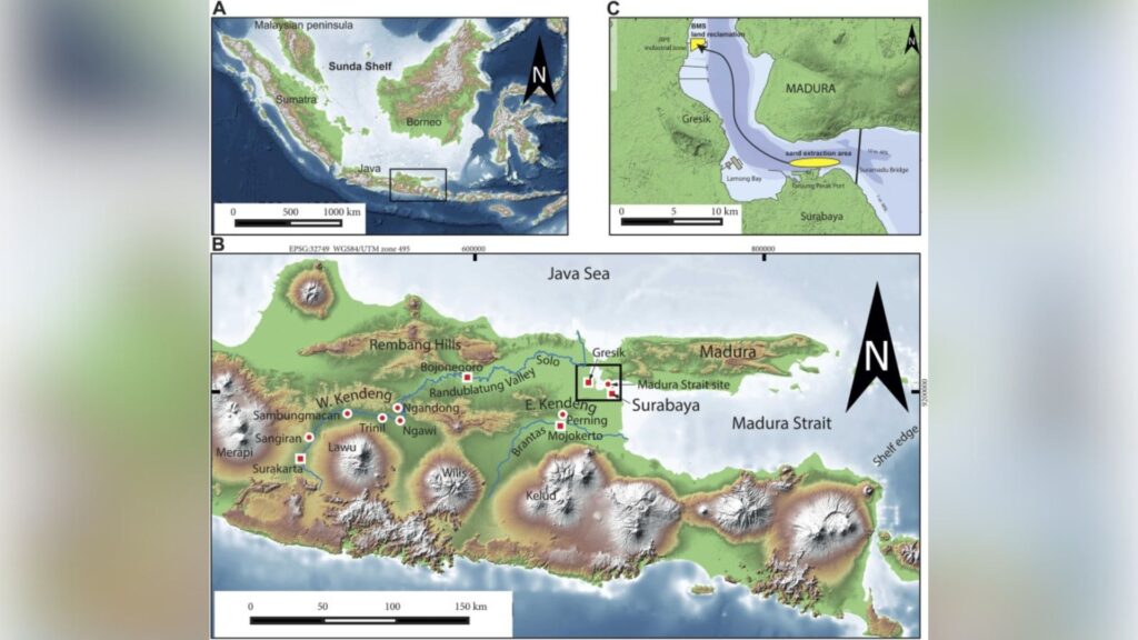 A : Le plateau de la Sunda de l'Asie du Sud-Est, avec l'archipel indonésien. La boîte indique la position de la carte B.
B : Java oriental, le détroit de Madura, la rivière Solo, Ngandong, Sambungmacan et d'autres sites d'hominin. La boîte indique la position de la carte C.
C : Le détroit de Madura au nord de Surabaya, avec la zone d'extraction de sable et l'emplacement de la réclamation foncière // Source : GEBCO et ALOS. A : Le plateau de la Sunda de l'Asie du Sud-Est, avec l'archipel indonésien. La boîte indique la position de la carte B.
B : Java oriental, le détroit de Madura, la rivière Solo, Ngandong, Sambungmacan et d'autres sites d'hominin. La boîte indique la position de la carte C.
C : Le détroit de Madura au nord de Surabaya, avec la zone d'extraction de sable et l'emplacement de la réclamation foncière // Source : GEBCO et ALOS.