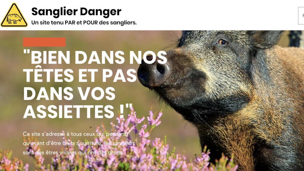 N'est-il pas mignon ? // Source : Sanglier Danger