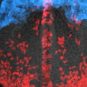 Cerveau de souris avec des cellules marquées par fluorescence // Source : Dr. Ivanovitch et al. Cerveau de souris avec des cellules marquées par fluorescence // Source : Dr. Ivanovitch et al.