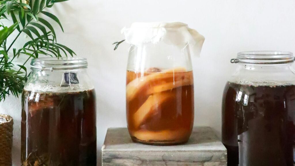 Le kombucha est obtenu par fermentation. // Source : Pexels Le kombucha est obtenu par fermentation. // Source : Pexels