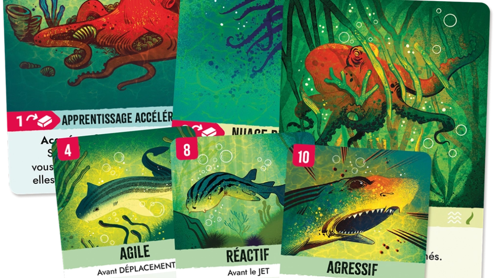 Exemples de cartes. // Source : Wonderbow Games Exemples de cartes. // Source : Wonderbow Games