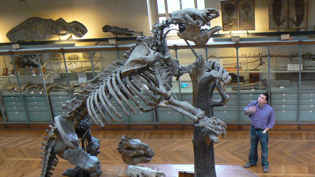Le squelette de Megatherium au Muséum d'Histoire naturelle de Paris. // Source : Domaine public Le squelette de Megatherium au Muséum d'Histoire naturelle de Paris. // Source : Domaine public