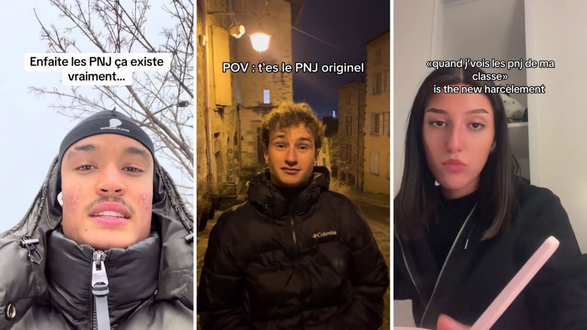 Ça veut dire quoi, « PNJ » ? // Source : Montage Numerama Ça veut dire quoi, « PNJ » ? // Source : Montage Numerama