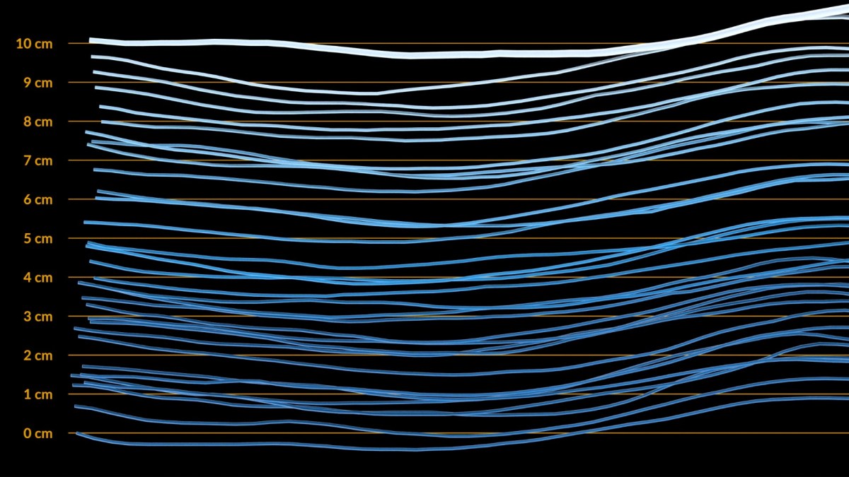 Représentation graphique de la montée des eaux, entre 1993 et 2024. // Source : NASA’s Scientific Visualization Studio